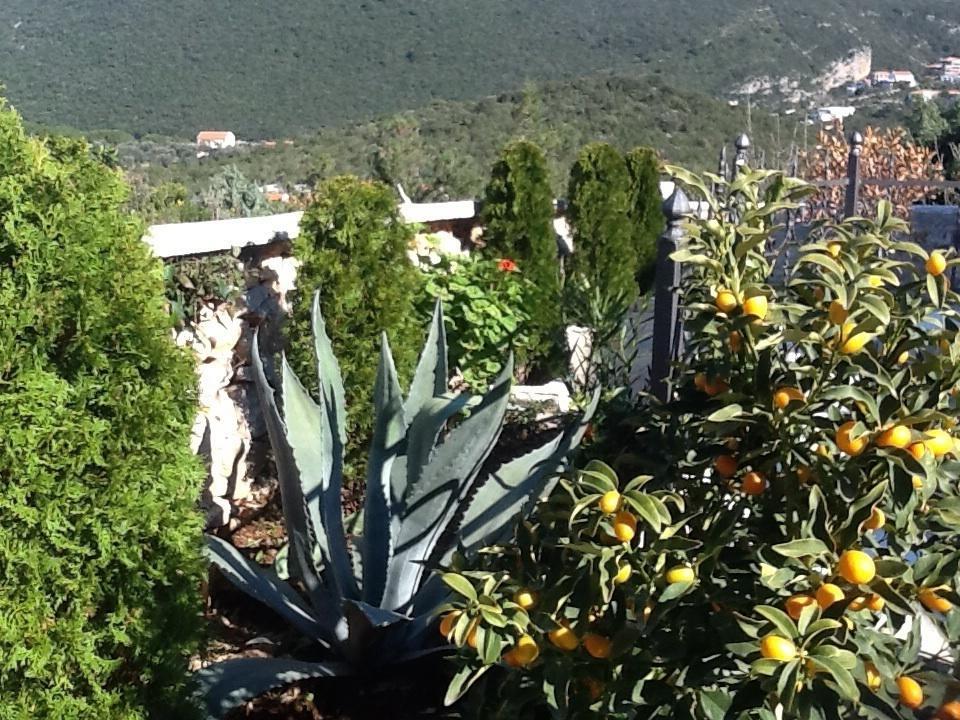 Villa Mirista Luštica Camera foto