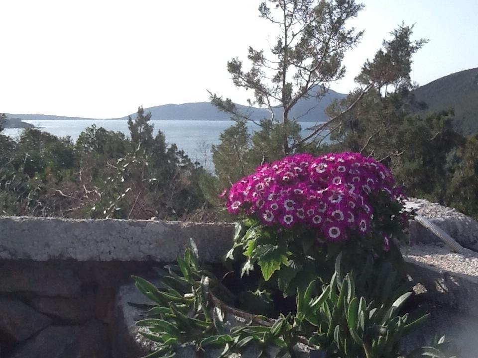 Villa Mirista Luštica Camera foto
